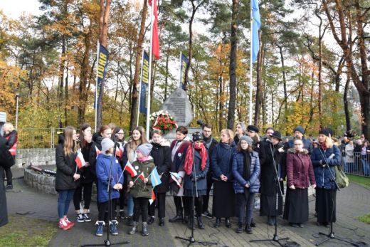 Narodowe wito Niepodlegoci (20)