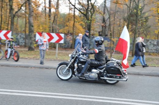 Narodowe wito Niepodlegoci (240)