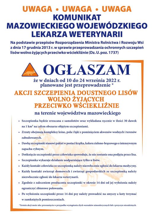 PLAKAT LISY JESIEŃ 2022-1