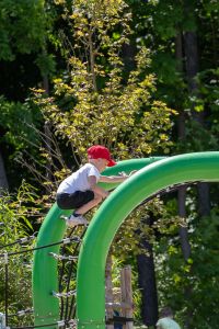 IMG_2962